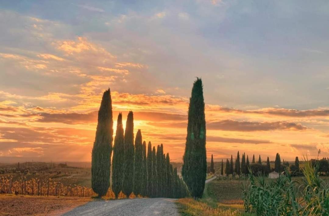 شقة Casa Guardiavigna In Chianti San Gusme المظهر الخارجي الصورة